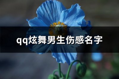 ​qq炫舞男生伤感名字(精选95个)
