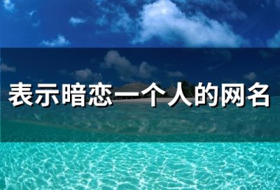 ​表示暗恋一个人的网名(65个)