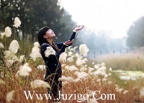 秋天的第一杯奶茶情话文案 秋天的童话(精选73句)