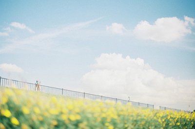 ​又撩又搞笑的表白情话女生对男生表白的话(78句)