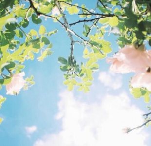 ​六十岁老同学聚会感言 经典句子