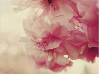 ​感情幸福的经典句子[16条] (幸福正能量的句子经典)