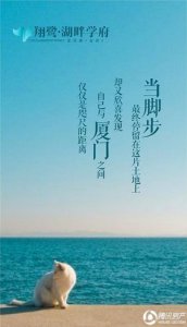 ​一句话形容厦门 赞美厦门风景的词语、句子