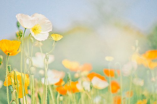经典签名2023最新版 2023年最新个性签名