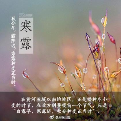 参加不了丧事短信慰问
