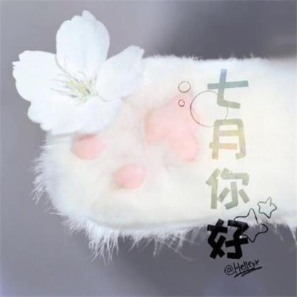 描写夜晚凄凉的段落