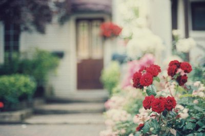 ​抖音里美好的句子85句