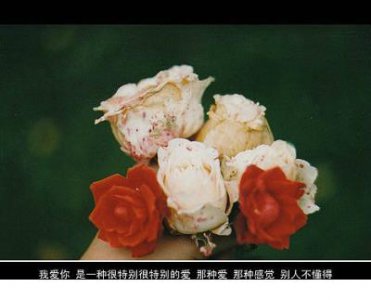 ​高级土味情话合集