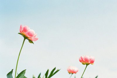 ​情感话伤感语录情感伤心语录加图(精选79句)