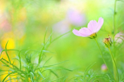 ​适合十月的句子文案简短大全(精选86句)