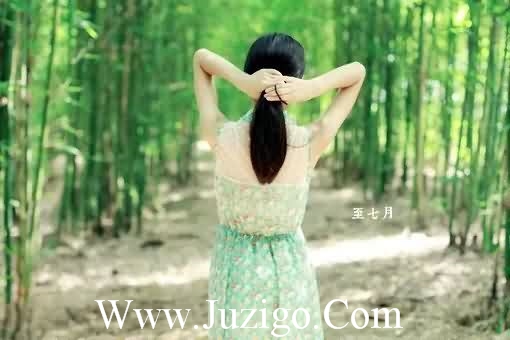 套路的句子 全是套路的句子