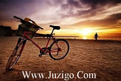 端午节的幽默短信81句