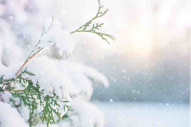 秋天的第一场雪说说(精选60句)