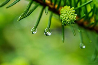 ​伤感又唯美的句子（精选120句）