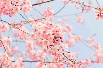 ​新年临近的心情说说（精选46条）