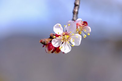 ​唯美祝福的句子（精选80句）