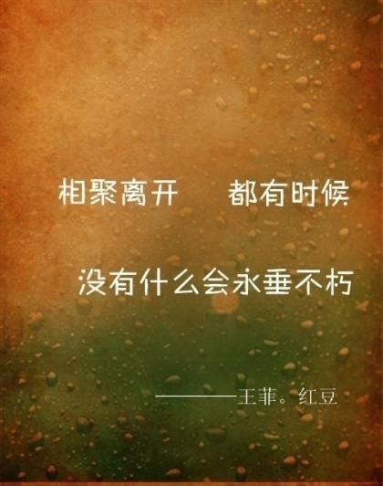 青春爱情文艺的句子说说心情