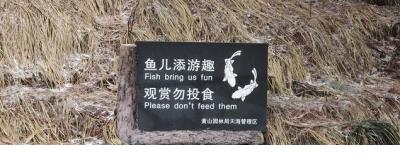 qq超拽个性签名大全