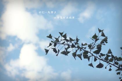 说晚安的句子