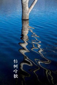 ​2023年网络流行语录
