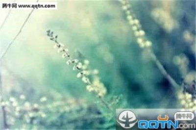 ​适合深夜发的励志朋友圈