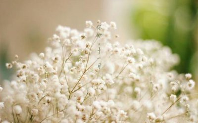 ​友谊的句子唯美,闺蜜友谊长存的句子[36条]
