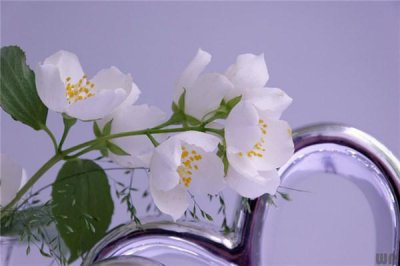​温馨早安的语录短句（2020最火的早安问候语）