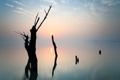 ​高考加油口号霸气84句