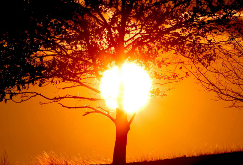 1689525385766740.png image.png