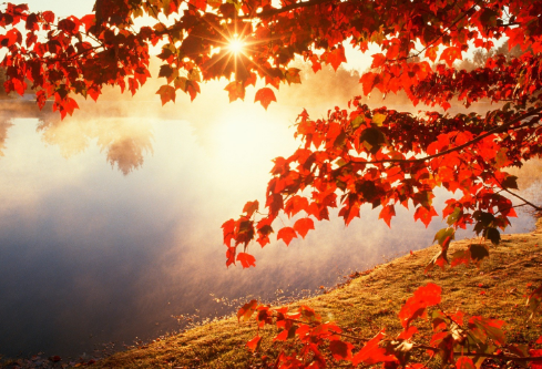 1689525717294767.png image.png