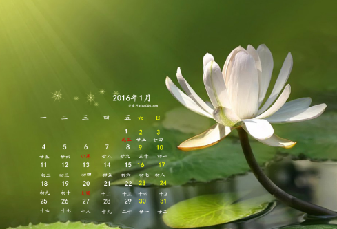 1687011237984524.png image.png