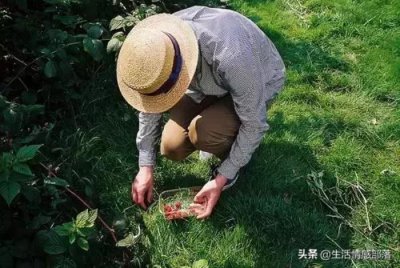​失眠的句子微信朋友圈（深夜睡不着发朋友圈的句子）