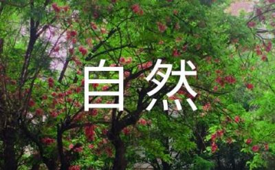 ​大漠自然风光古诗