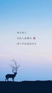​女生失恋的句子（失恋难过的心酸句子）