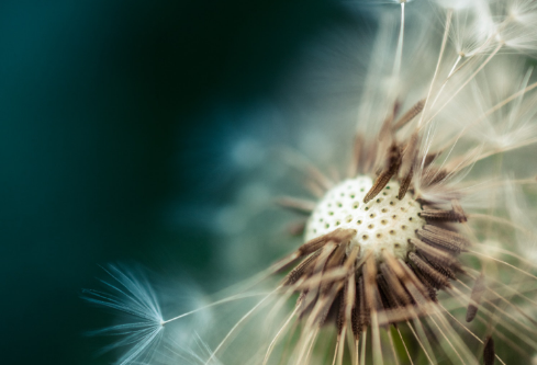 1689440030909304.png image.png