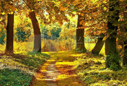 1689447322585103.png image.png