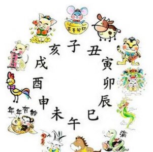 ​关于十二生肖的句子有哪些(十二生肖谜语大全及答案谜语经典语句)