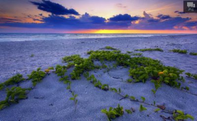 ​关于生活中有语文的标语