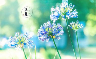 ​社会治安综合治理责任制 综治宣传横幅标语