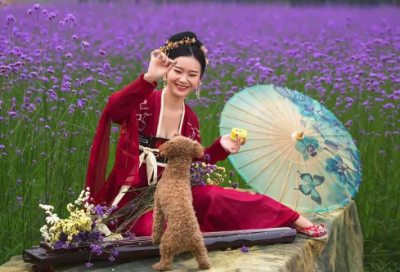 ​表达有缘相识的诗句 表达有缘的诗句(精选55句)