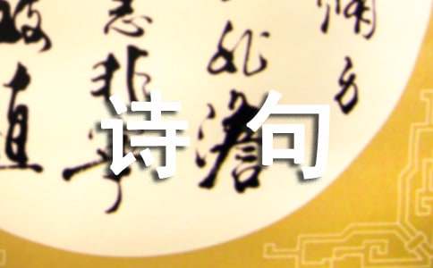 不惑之年的感慨诗句