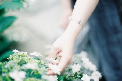 ​三一二植树节公益宣传标语大全植树节宣传标语卡片(精选68句)