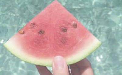 ​《夏日绝句》古诗