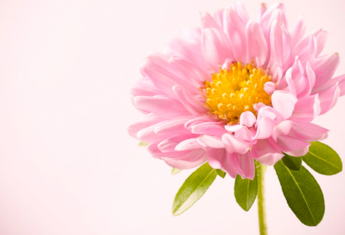 1688663784555970.png image.png