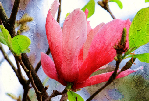 1688631242117115.png image.png