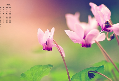 1688679109549515.png image.png