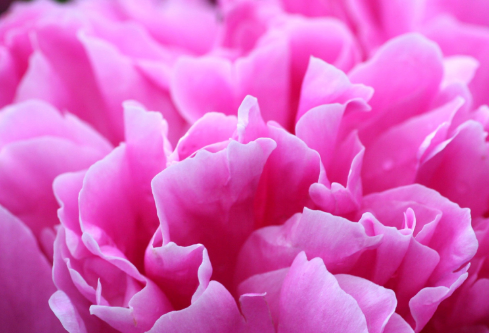 1688667282125011.png image.png