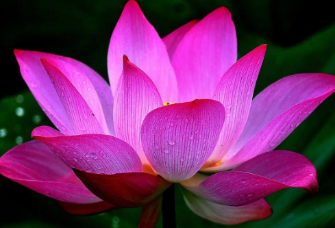 1688697101153193.png image.png