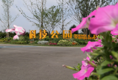 ​春思皇甫冉赏析（古诗春思唐皇甫冉）