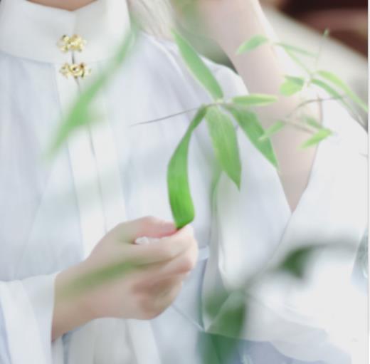 精选的庆祝9